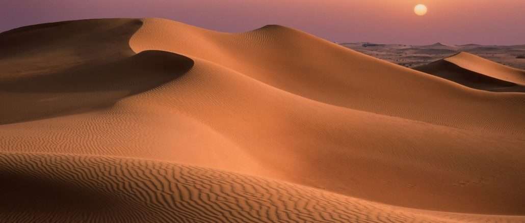 desert dawn